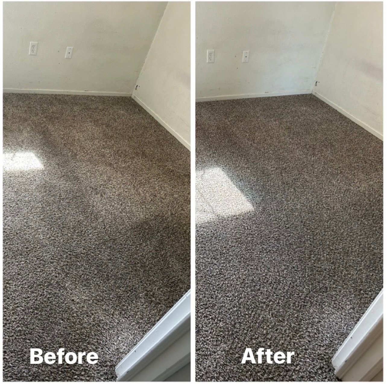 carpet before and after
