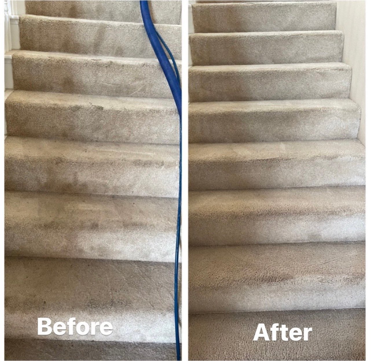 carpet before and after