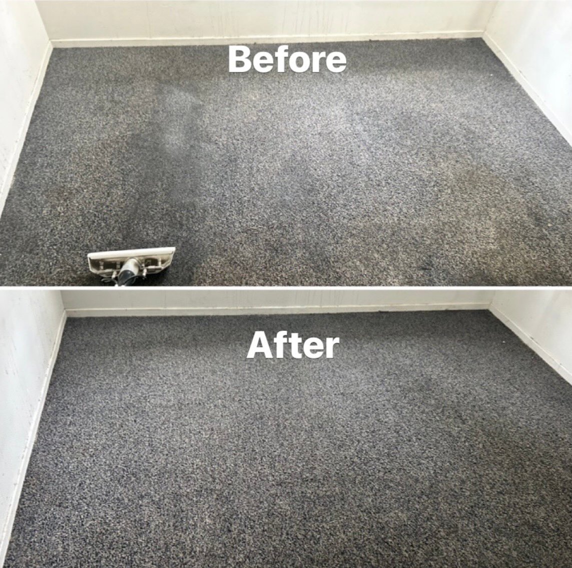 carpet before and after